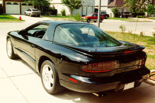 Mustang Cobra View