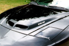 Firehawk hood